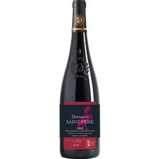 Saumur Champigny Domaine St Pere x6