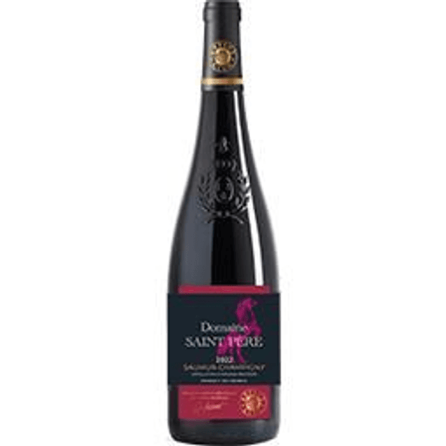 Saumur Champigny Domaine St Pere x6